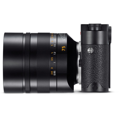 Leica 75mm f/1.25 Noctilux-M ASPH black Leica 75mm f/1.25 Noctilux-M ASPH black