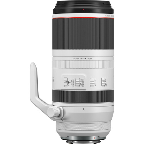 Canon RF 100-500mm f/4.5-7.1 L IS USM
