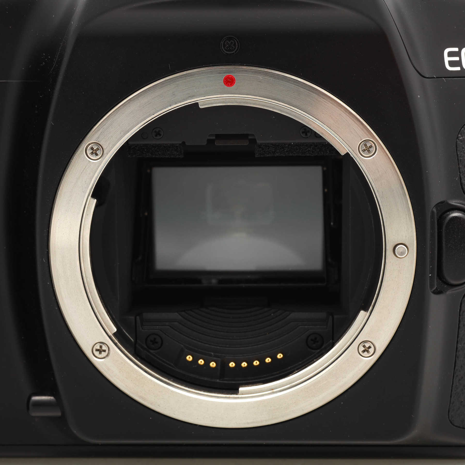 Canon EOS 1n Canon EOS 1n